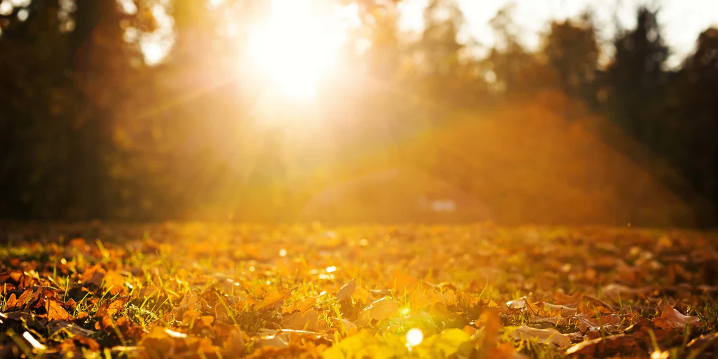 Acupuncture for Winter Blues
